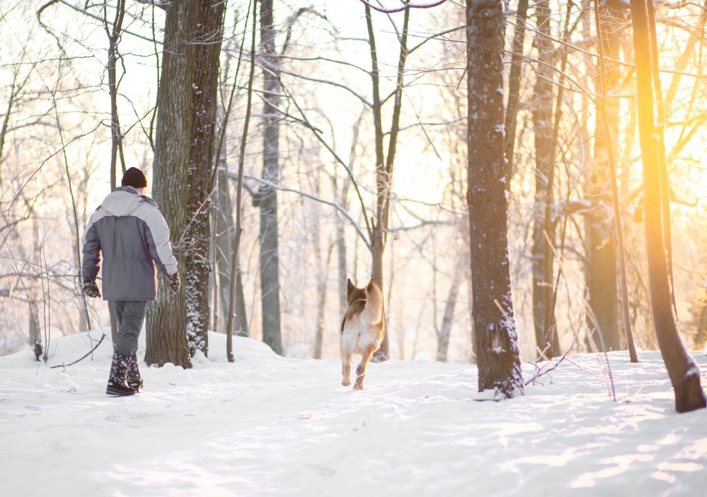 Ein Mann geht mit einem Hund an einem frostigen frühen Wintertag spazieren.