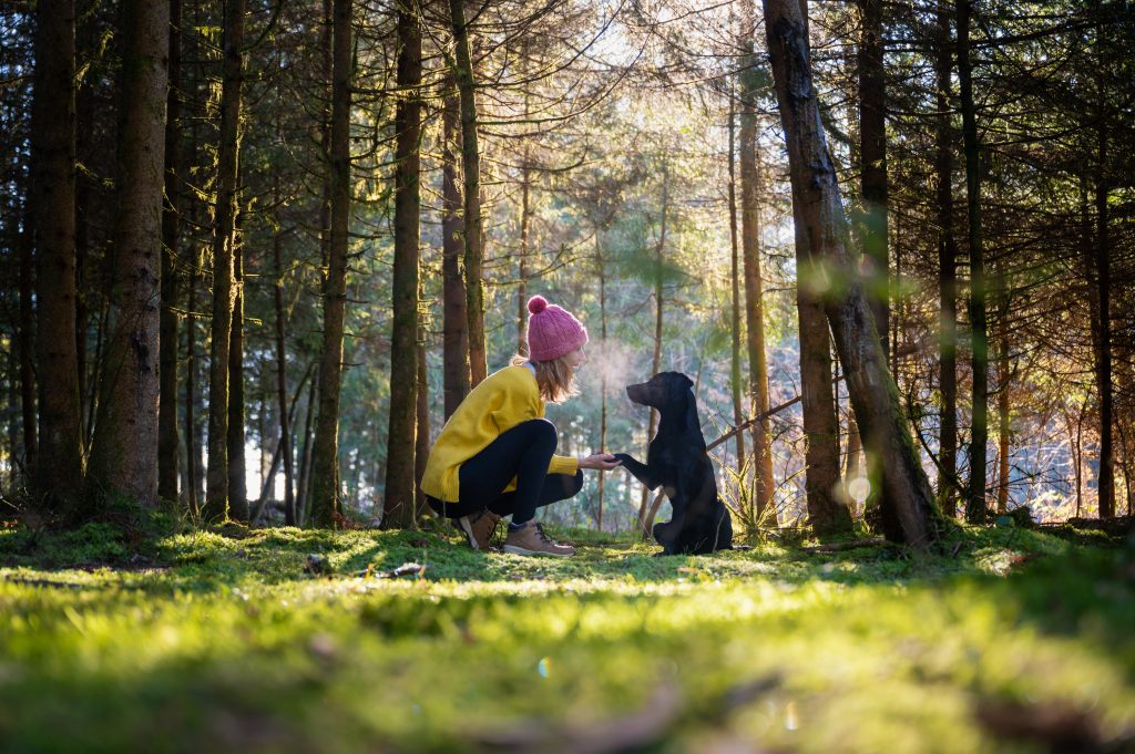 Frauchen und Hund im Wald bei einem Spaziergang, hund gibt Pfötchen
