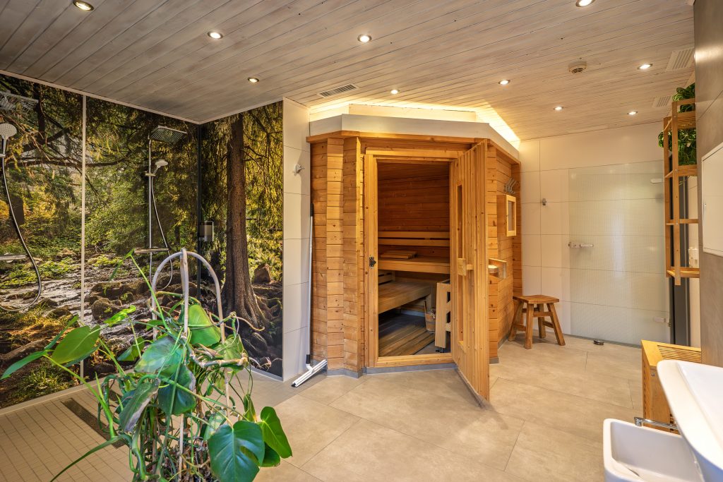Moderne sauna met een ontspannende ambiance en planten